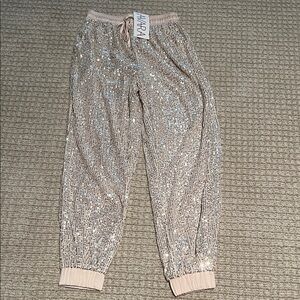 Ellison Sequin Jogger Pants in Silver and Cream